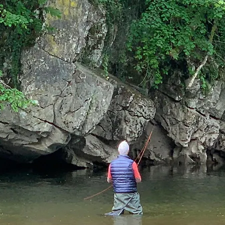 Au Coeur De Dinant